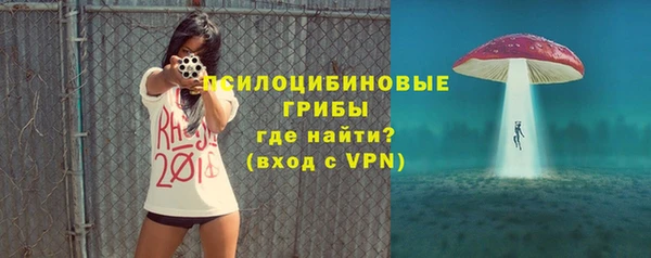 сатива Краснотурьинск