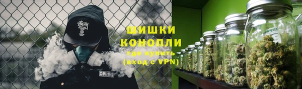 сатива Краснотурьинск